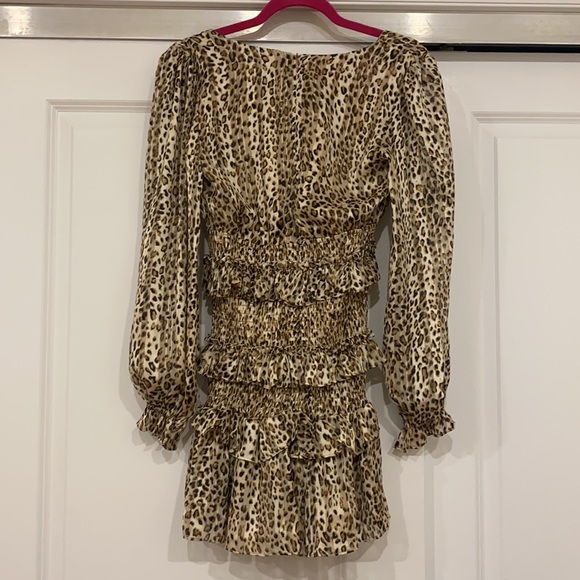 Leopard Dress - Picture 2 of 4